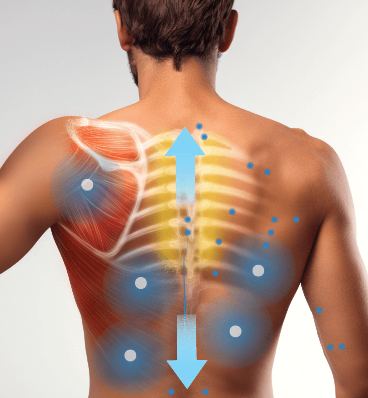 A man’s back with muscle and rib anatomy highlighted, blue arrows tracing the spine and dots marking pressure points—showing the areas the Daiwa Relax 2 Zero 3D Massage Chair by Daiwa targets for stress relief during a full-body massage.