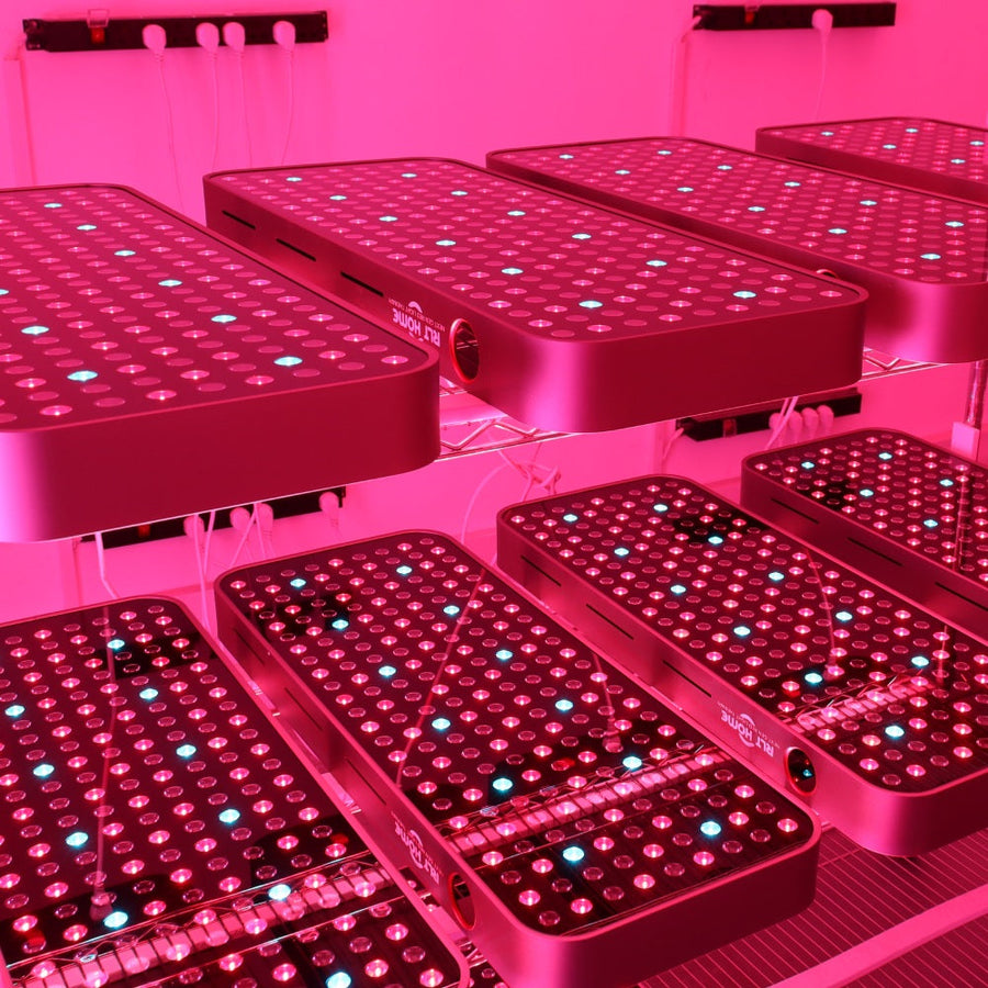The RLT Home Total Spectrum COMPACT (7 Wave 216 LEDs) devices emit pink and purple light from small bulbs, arranged on shelves in an indoor setup with visible cords, designed to support optimal mitochondrial function.