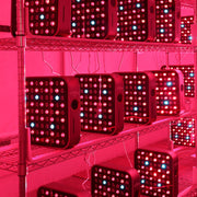 Rows of RLT Home Total Spectrum MINI (7 Wave 72 LEDs) red light therapy panels emit red and blue lights on metal shelves, filling the room with a pinkish-red glow. This home wellness device provides targeted pain relief, with cords behind the panels.